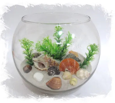 Сухой декоративный аквариум шар