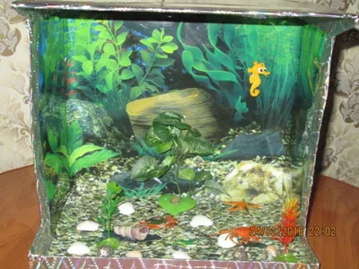 Сухой аквариум из живых и стабилизированных растений.: 2 500 000 сум -  Аквариумистика Ташкент на Olx