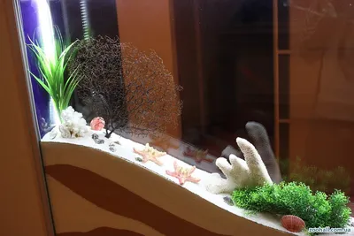Сухой аквариум акваріум набор для творчества детский декор: 350 грн. -  Прочие детские товары Киев на Olx