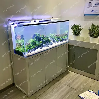Сухой аквариум в интерьере своими руками (54 фото) - красивые картинки и HD  фото