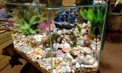 ПСК 'Борус' - Прозрачный стеклянный пол - сухой аквариум с декоративным  наполнением
