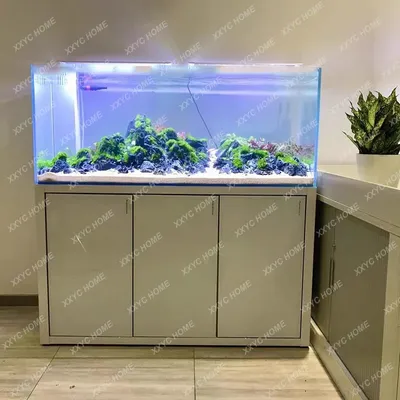 Сухой аквариум