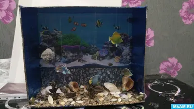 Сухие аквариумы от компании \"Планета Нептуна\" - YouTube