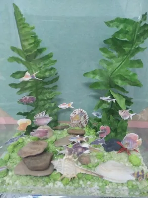 Макет «Сухой аквариум» для уголка живой природы (6 фото). Воспитателям  детских садов, школьным учителям и педагогам - Маам.ру