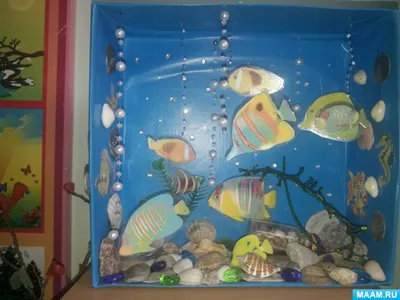 Сухой аквариум в интерьере - типы, фото примеры, декорации