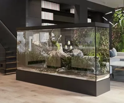 Сухой аквариум в интерьере: декоративный аквариум своими руками - Fitodecor