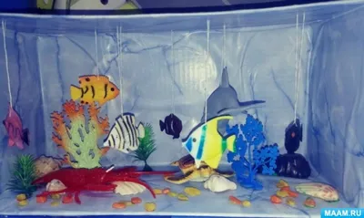 Искусственный аквариум: виды и применение
