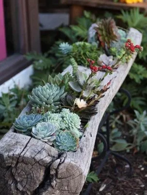 Флорариумы в интерьере - 🌵Каланхоэ, алоэ, кактусы,🌵 толстянка, крассула,  агава – эти неприхотливые растения есть почти в каждом доме и офисе. 🏘 ⠀  ☝️Но мало кто знает, что все они принадлежат к