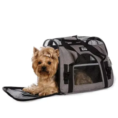 Купить Ibiyaya складная сумка-переноска для собак и кошек до 6 кг бежевая в  магазине Joy4pet.ru по цене 4 520 руб.
