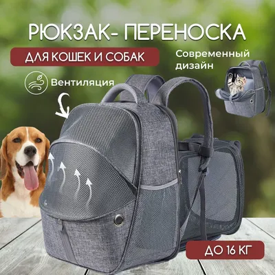 Сумка в форме собаки от Thom Browne купить по цене 24990₽ в Москве | LUXXY