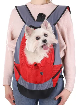 Сумка переноска рюкзак для кошек, собак грызунов с вентиляцией складной  серый - купить с доставкой по выгодным ценам в интернет-магазине OZON  (1034178339)