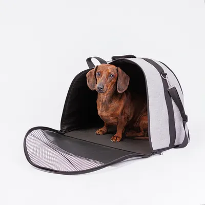 Купить Переноска для собак, теплая сумка для собак, моющаяся сумка для  домашних животных, дорожная сумка на плечо для щенка и кошки, удобная  переноска для домашних животных, товары для собак | Joom