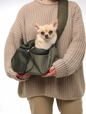 Переноска для собак мелких пород до 4,5 кг, сумка для собак мелких пород  цвет хаки, слинг переноска для кошек - купить с доставкой по выгодным ценам  в интернет-магазине OZON (1122939813)