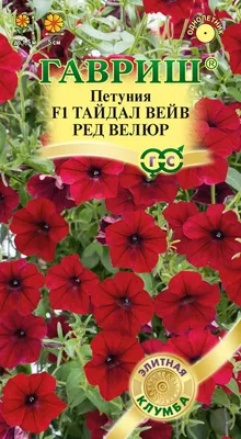 Петуния каскадная Тайдал Вейв Парпл (Семена Профи) из каталога Семена  петунии – купить с доставкой по Москве и России в Onlinesemena