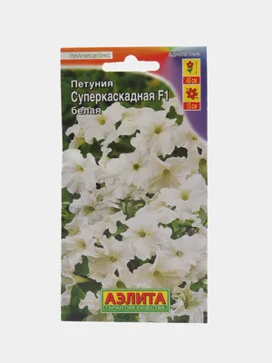 Купить Петуния Суперкаскадная Белая F1 (Семена алтая) с доставкой почтой по  России