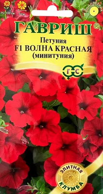 Петуния Суперкаскадная Белая, 10шт/Аэлита купить по цене 60.3 ₽ в  интернет-магазине KazanExpress