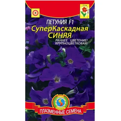 Петуния суперкаскадная белая F1 по цене 23 ₽/шт. купить в Москве в  интернет-магазине Леруа Мерлен