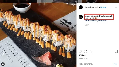 66 SUSHI PUN INSTAGRAM CAPTIONS | Cheerily