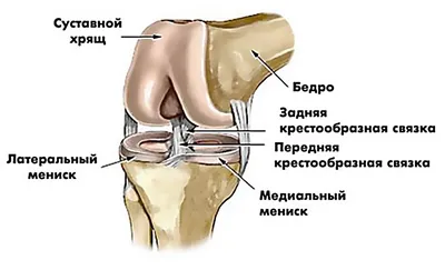 КТ коленного сустава в Екатеринбурге - Новая Больница