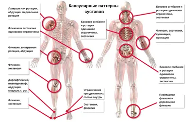 Остеоартрит суставов: симптомы и лечение. -