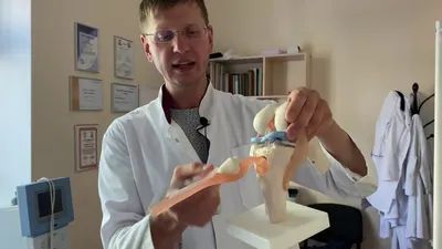 Рентген коленного сустава – цена в Москве, сделать рентгенографию колена в  медицинском центре Медскан
