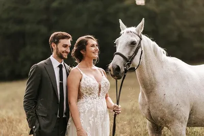 Свадьба на лошадях фото фотографии