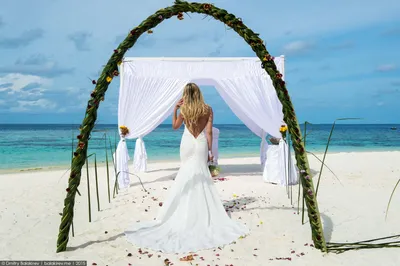 Свадьба на Мальдивах 2022 - цены на двоих по организации