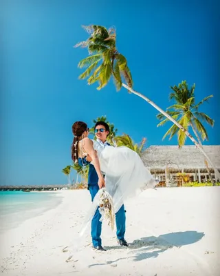 Свадьба на Мальдивах | Пикабу