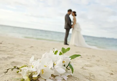 Свадьба на Мальдивах — символическая, фото и цена на сайте