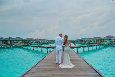 Россиянам стало проще устроить свадьбу на Мальдивах | Ассоциация  Туроператоров
