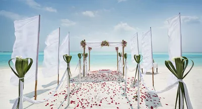 Свадьба на Мальдивах: с чего начать, цены, что включено