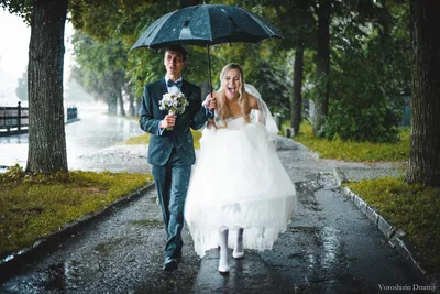 Фотоальбом Свадьба в дождь: прекрасные фотографии в png формате
