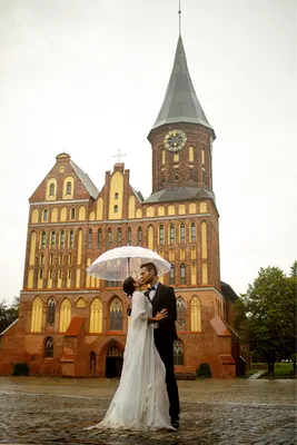 Оживляющие фотографии свадьбы под дождем: фото в webp формате