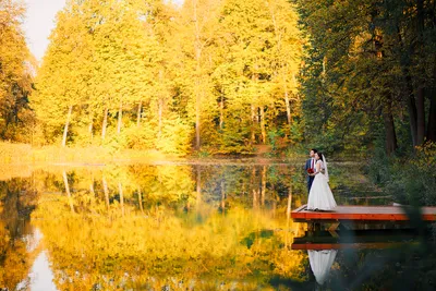 Свадьба осенью: преимущества, стилистика, места проведения, декор, образы  молодоженов. | блог «Золотой берег»