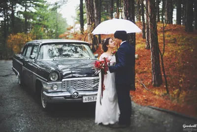 Свадьбы осенью фото фотографии