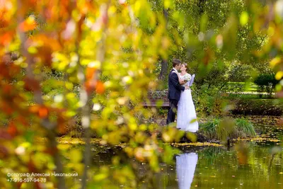Цветовая гамма для свадьбы осенью: идеи для декора и образов молодоженов и  гостей