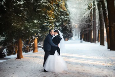 Свадьбы зимой фото фотографии