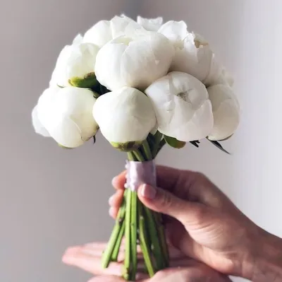 Свадебный букет пионовидных роз с пионами, астильбой и ягодами купить с  доставкой в Москве | Заказать букет цветов недорого