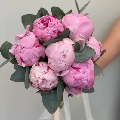 Купить букет невесты из пионов и роз по доступной цене с доставкой в Москве  и области в интернет-магазине Город Букетов