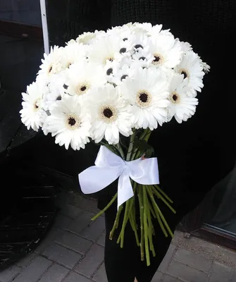Купить букет из белых гербер и хризантем по доступной цене с доставкой в  Москве и области в интернет-магазине Город Букетов