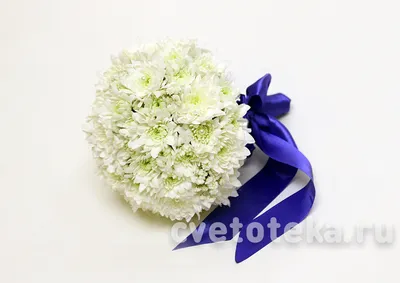 Купить Свадебный букет невесты из хризантем R590 с доставкой в  Санкт-Петербурге