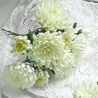 Свадебные букеты: белые хризантемы в интернет-магазине Ярмарка Мастеров по  цене 2850 ₽ – T8X5GBY | Свадебные букеты, Рязань - доставка по России