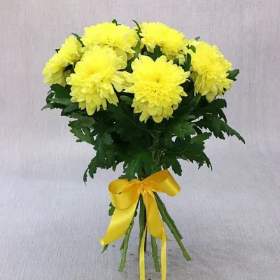 Букет из 9 желтых хризантем одноголовых - Интернет магазин Цветочный город,  база цветов