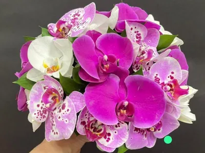 Доставка Каскадный свадебный букет с орхидеями цимбидиум и розами по СПб 24  часа