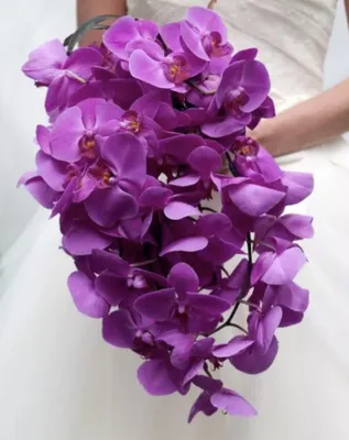 Кустовые розы с орхидеями - 19 шт. за 8 890 руб. | Бесплатная доставка  цветов по Москве