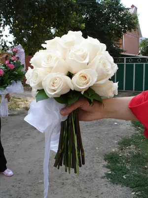 Невеста держит свадебный букет из белых и розовых роз зелени Stock Photo |  Adobe Stock
