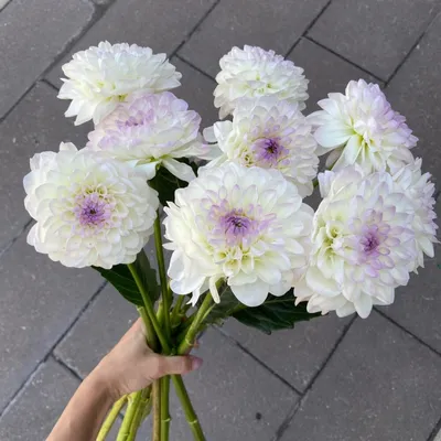 Свадебный букет \"Jasmine\" - 19 шт. за 7 590 руб. | Бесплатная доставка  цветов по Москве