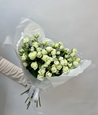 Букет из 25 нежных кустовых роз (00923) купить с доставкой в Архангельске