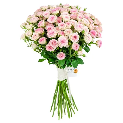 Букет из 11 белых кустовых роз 'Искренность' с доставкой в Иркутске