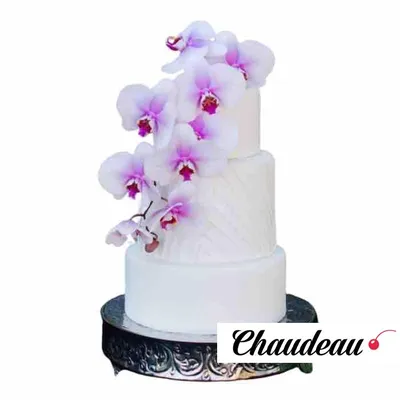 Пудровый свадебный торт с орхидеями и пионами. | Simple wedding cake,  Beautiful wedding cakes, Cake gallery